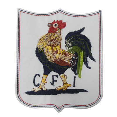 MIA Washable Iron On Embroidery-Decoratieve het Overdrukplaatjestickers 12C van Flardenpantone