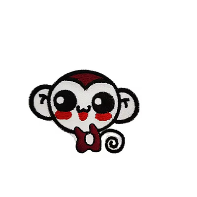 Op maat geborduurde borduurwerk patch ijzer op kleding ontwerper patches