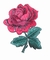 4“ Rood Rose Flower Embroidered Iron On-Flard met Zelfklevende Rug